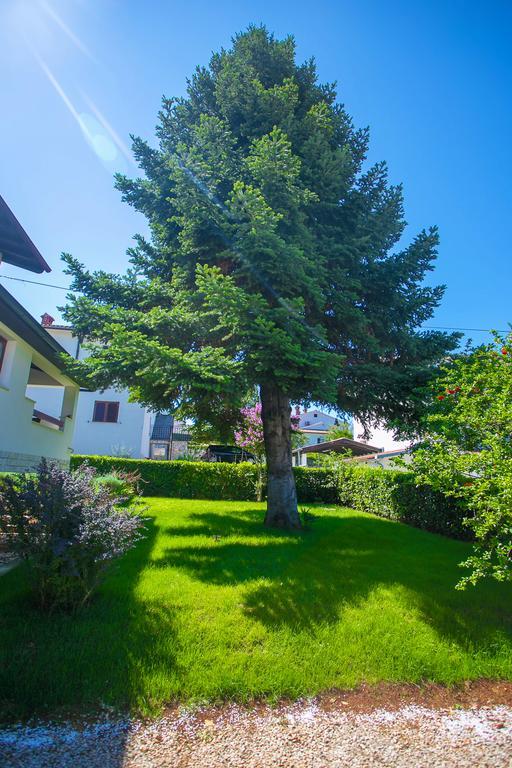 Apartment Pinia Poreč Exteriör bild